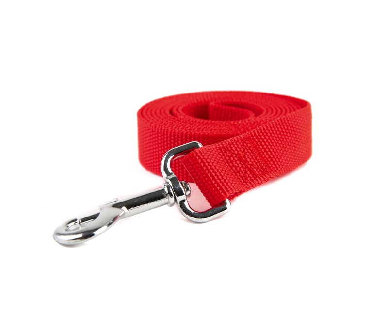 Taida Nylon Dog Training Leash, Traction Rope, 4Ft /5 Foot /6 Feet Long, 5/8 inch 3/4 Inch 1 Inch Wide, for Small and Medium Dogs - Image 2